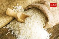 مافیای پشت پرده در واردات برنج چه کسانی هستند؟