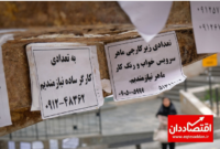 «زنجان» بر قله اشتغال ایران ایستاد