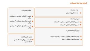 وام 300 میلیونی پلتفرم‌های داخلی به این کسب‌وکارها